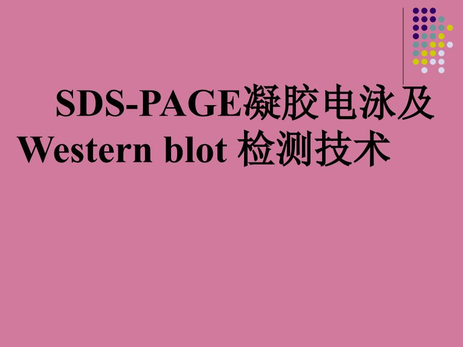 凝胶电泳及Westernblot检测技术ppt课件_第1页