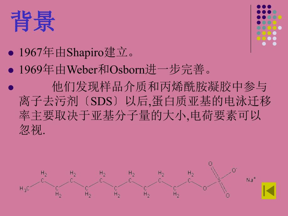 凝胶电泳及Westernblot检测技术ppt课件_第4页