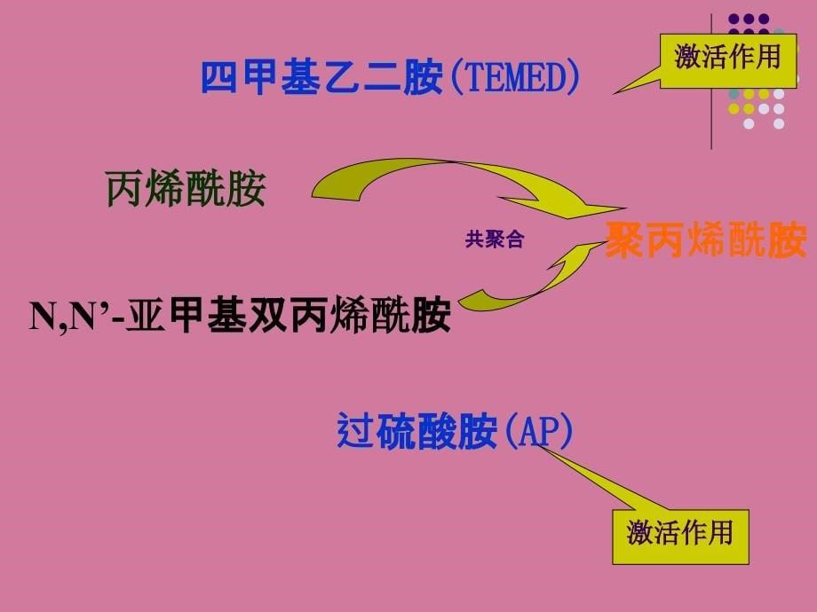 凝胶电泳及Westernblot检测技术ppt课件_第5页