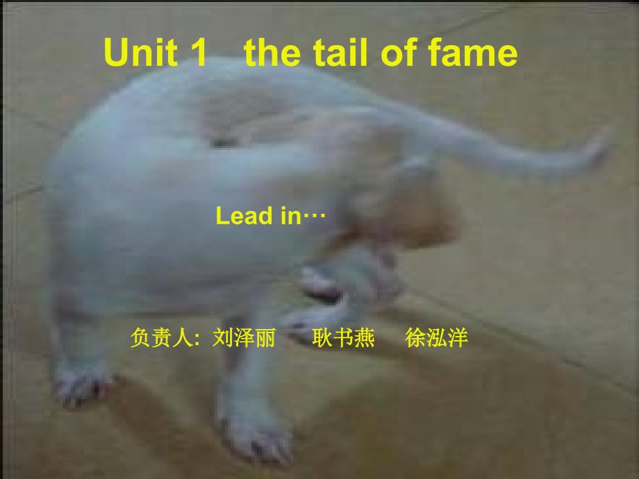 新视野大学英语读写教程第四册unit1Thetailoffameleadin部分_第1页