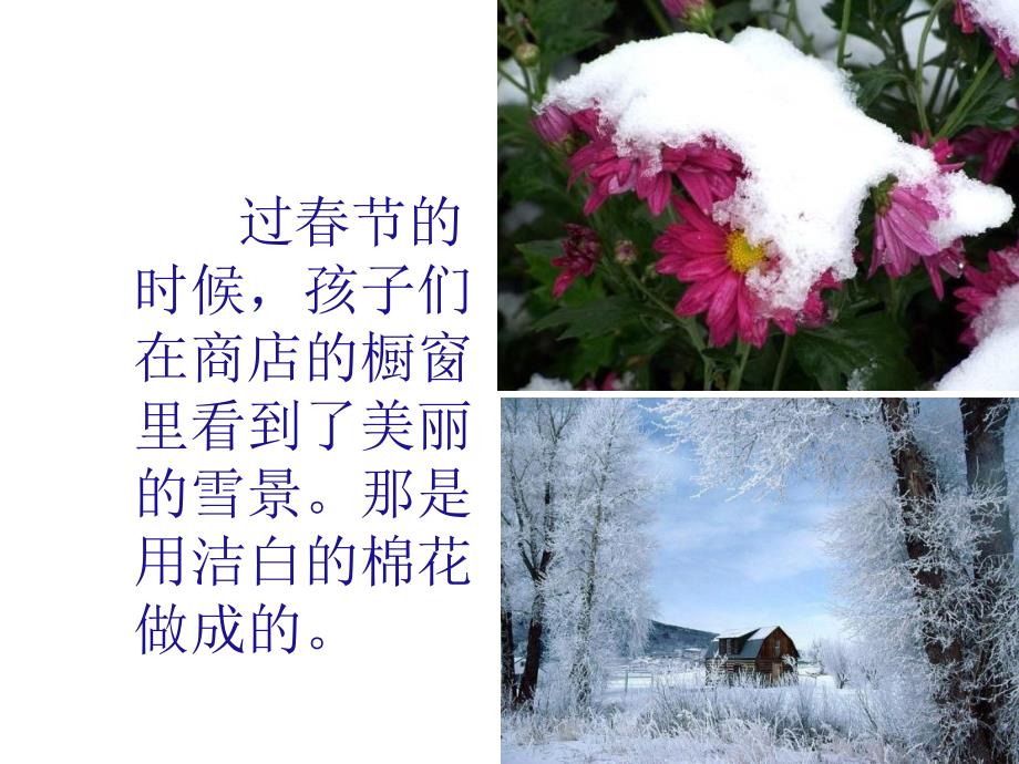 鲁教版二年级上册看雪课件3_第2页