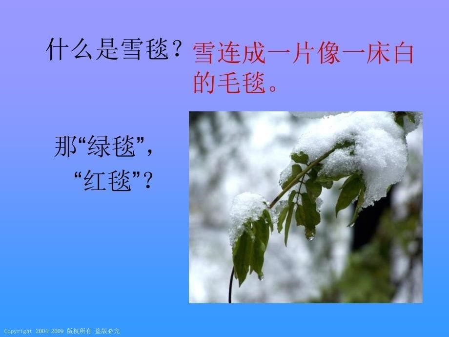 鲁教版二年级上册看雪课件3_第5页