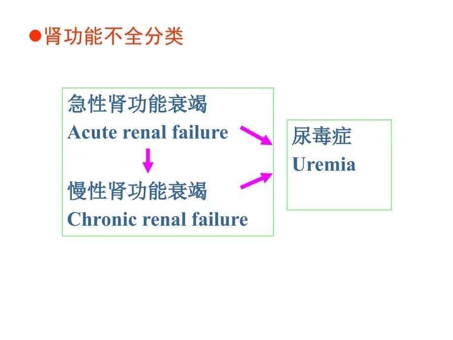 肾脏病理生理(完整).ppt_第5页