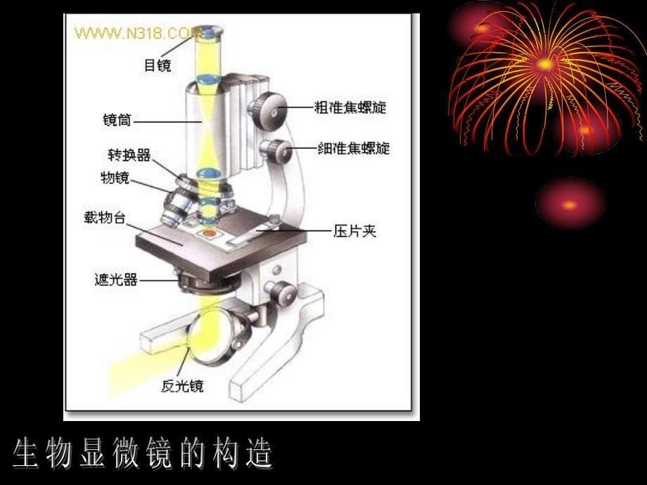 实验一20光学显微镜的使用与维护[1]_第5页