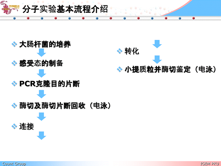 分子实验基本操作培训教学课件_第3页