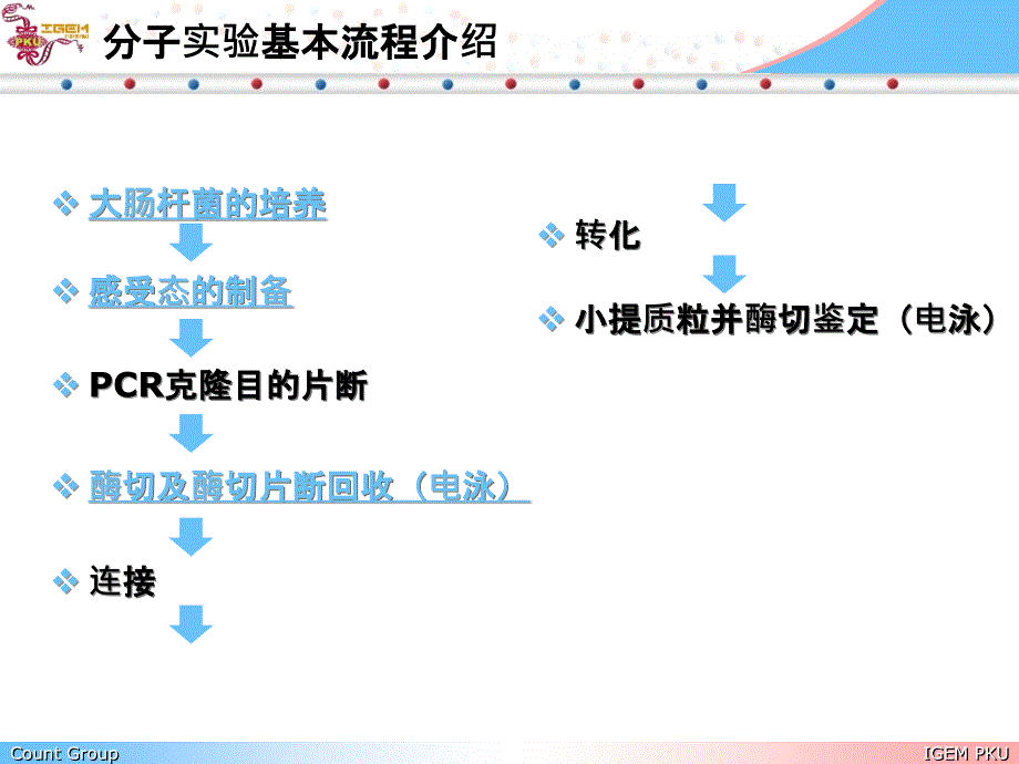 分子实验基本操作培训教学课件_第4页