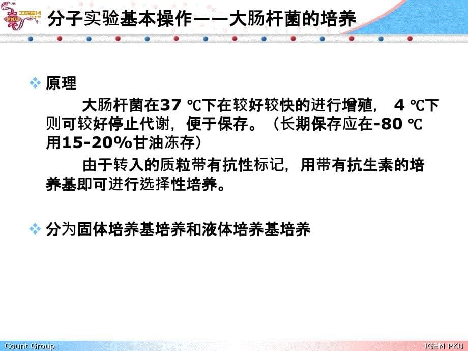 分子实验基本操作培训教学课件_第5页