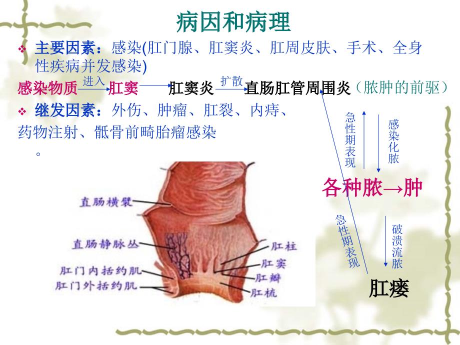 三基培训课件-肛周脓肿_第4页