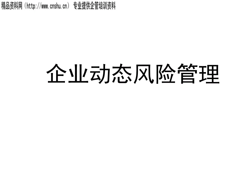 专项风险管理研究及风险管理案例_第1页