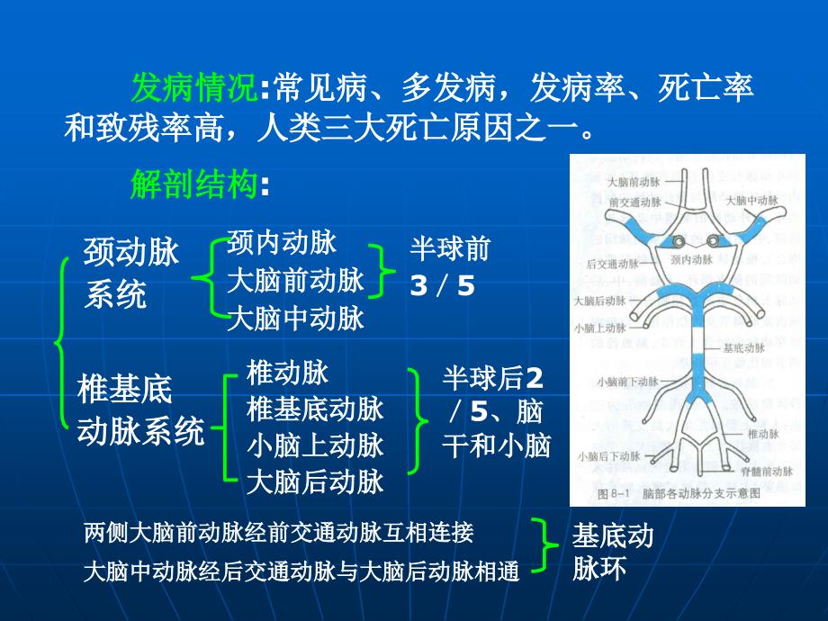 急性脑血管疾病_第2页