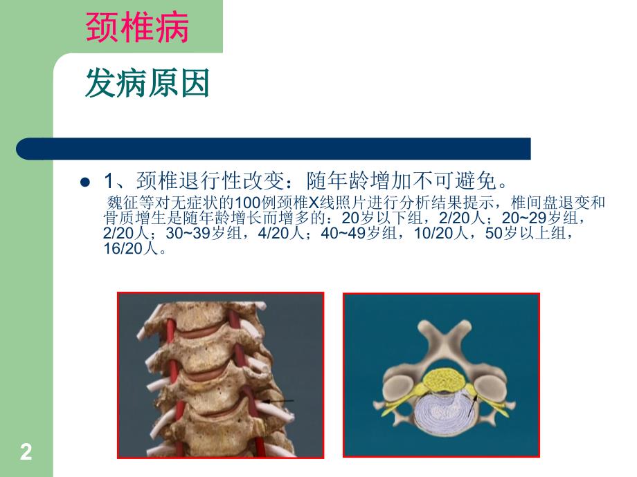 优质课件颈腰椎病的预防与自我保健_第2页