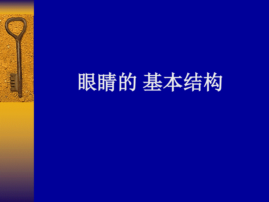 眼外伤的护理PPT课件.ppt_第2页