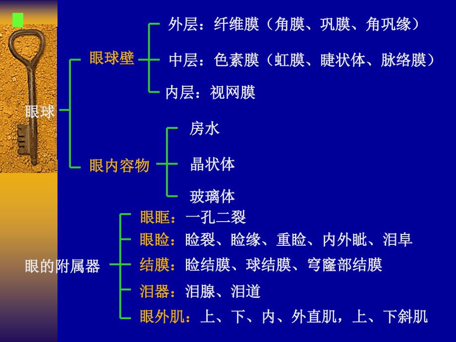 眼外伤的护理PPT课件.ppt_第3页