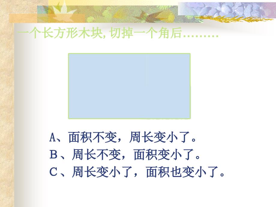 1平面图形的周长和面积(1)_第3页