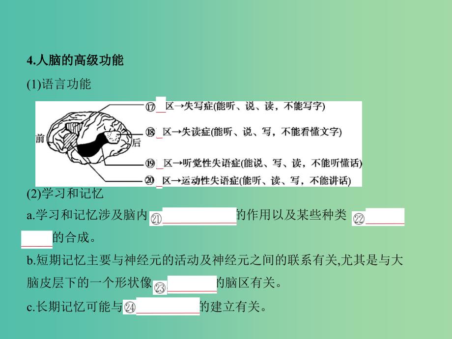 2019届高考生物二轮复习 专题17 人和高等动物的神经调节课件.ppt_第4页