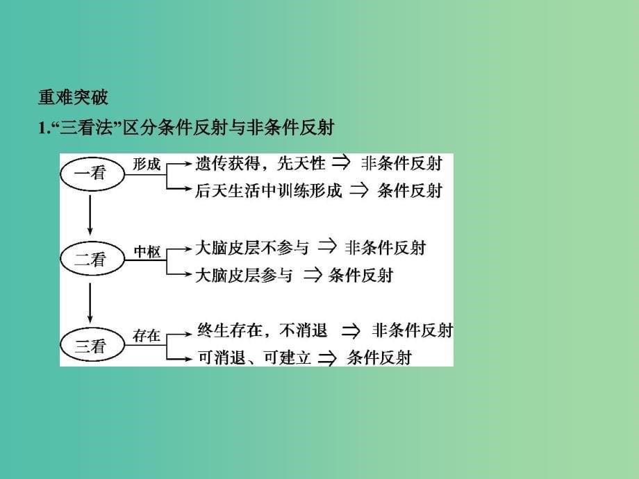 2019届高考生物二轮复习 专题17 人和高等动物的神经调节课件.ppt_第5页