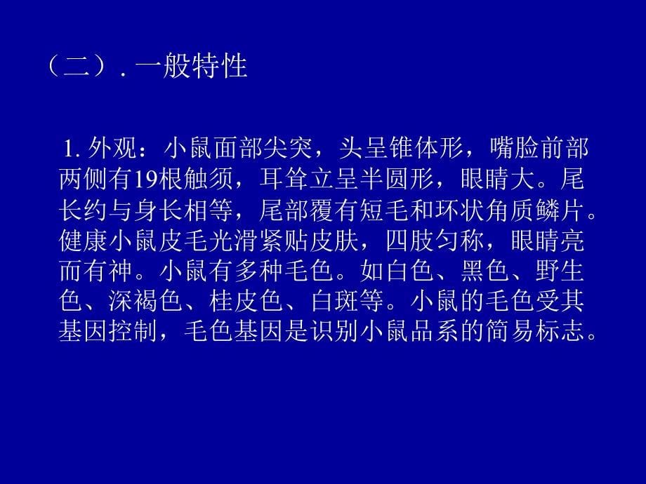 常用实验动物的特点及应用_第5页