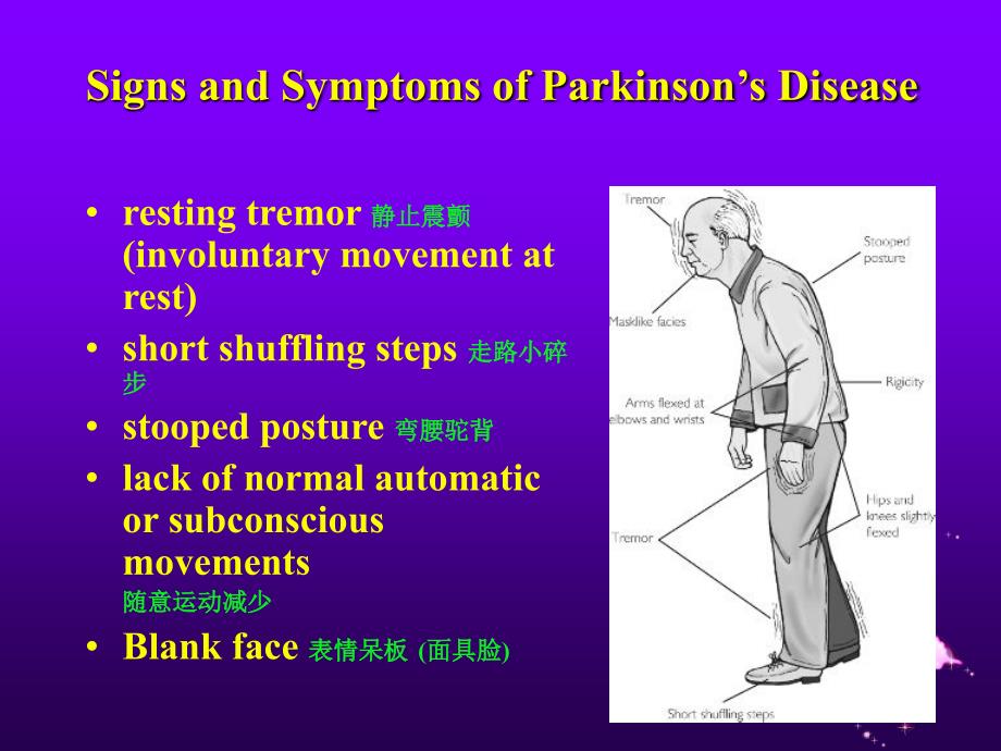 Introdution-of-Parkinsons-Disease-and-Drugs-for-the-Treatment-of-Parkinson’s-Disease.ppt_第4页