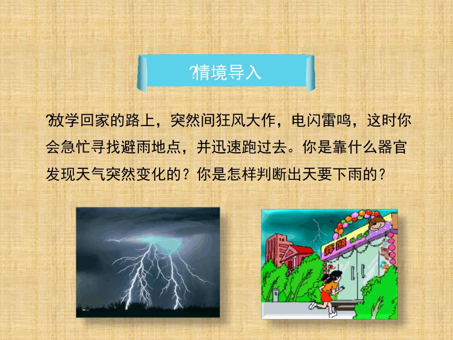 初中七年级生物下册461人体对外界环境的感知第一课时名师优质课件2新版新人教版_第2页