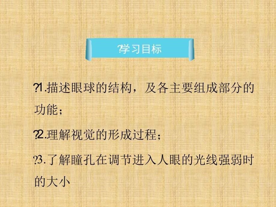 初中七年级生物下册461人体对外界环境的感知第一课时名师优质课件2新版新人教版_第5页