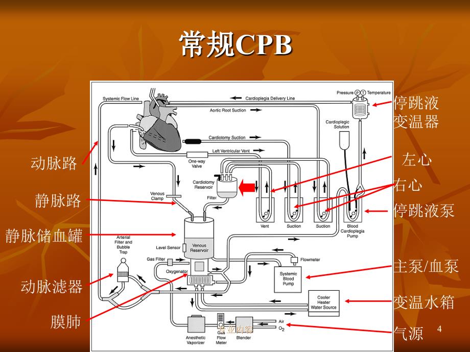 体外循环简介荟萃材料_第4页