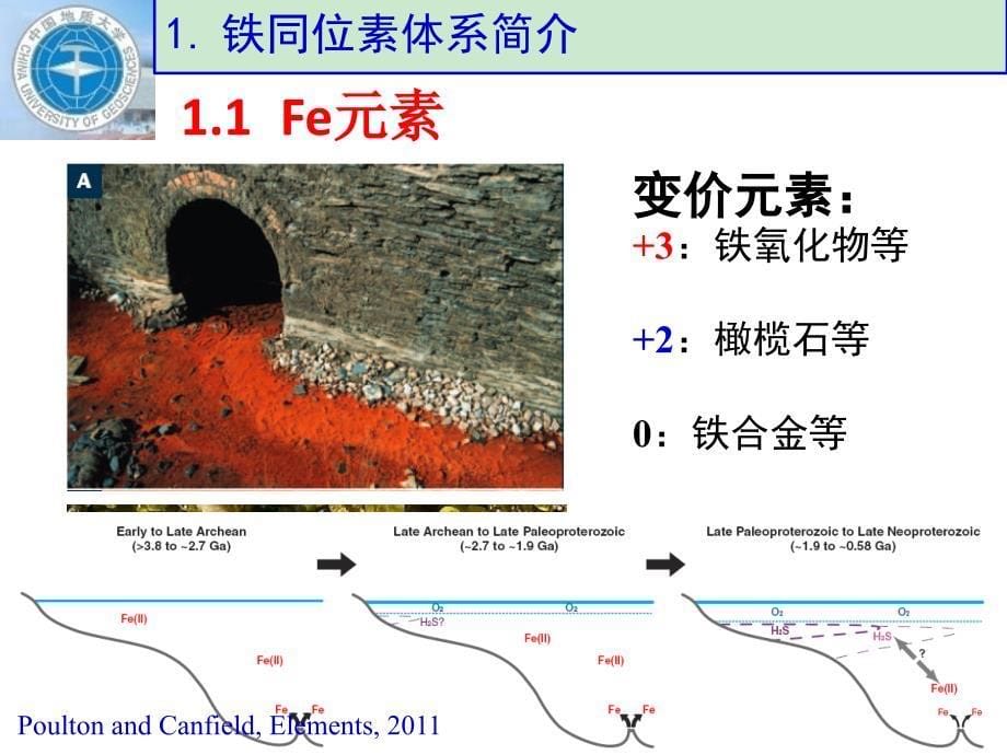 铁同位素--何永胜ppt课件_第5页