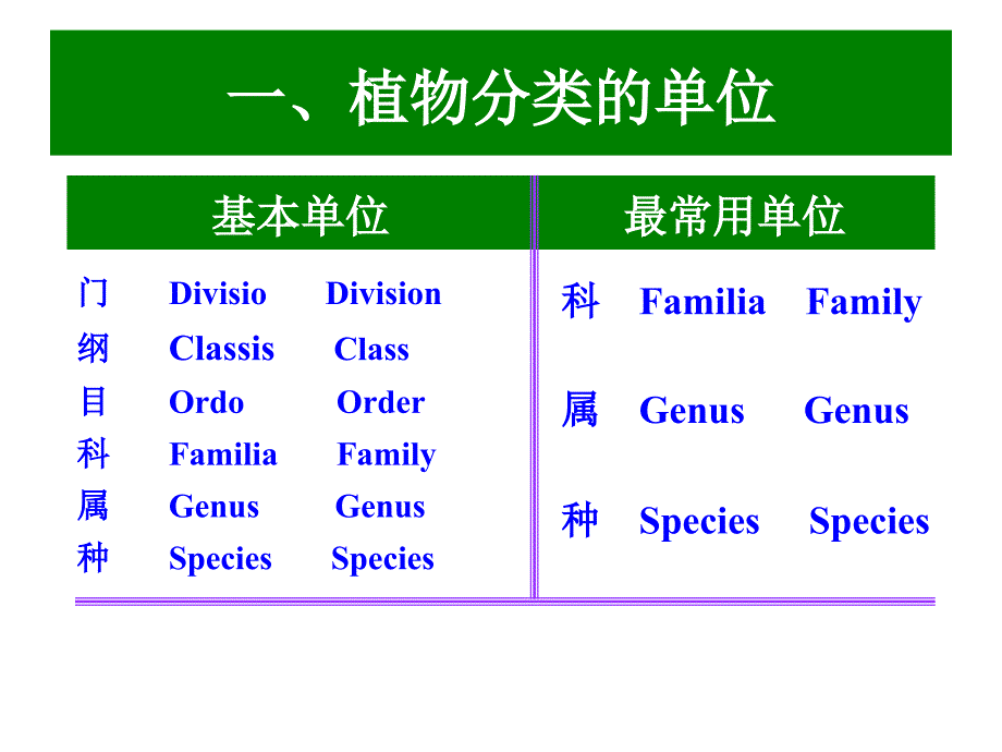 景观植物分类理论_第1页