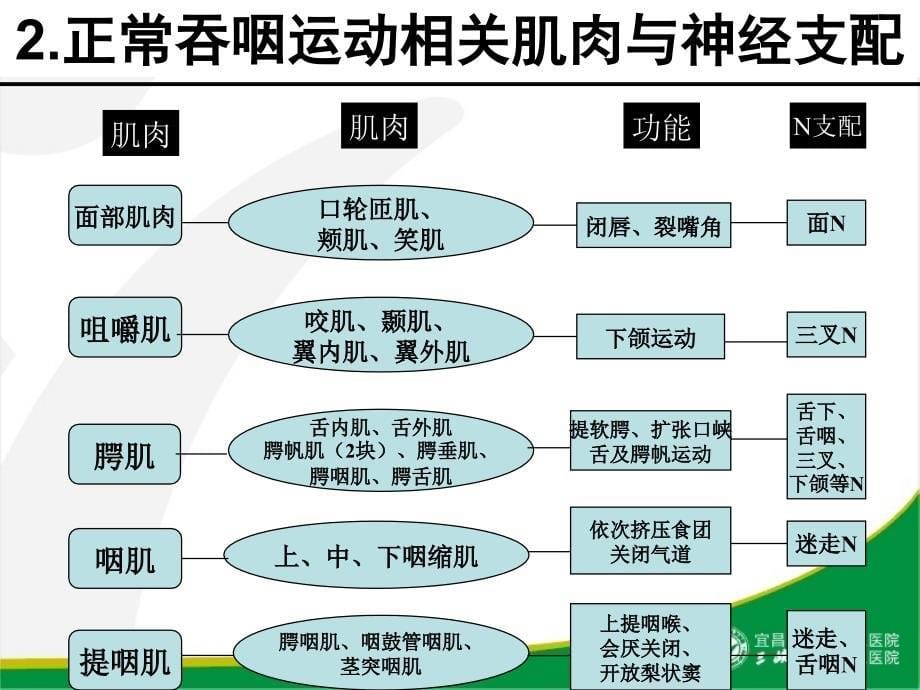 吞咽障碍的评估_第5页