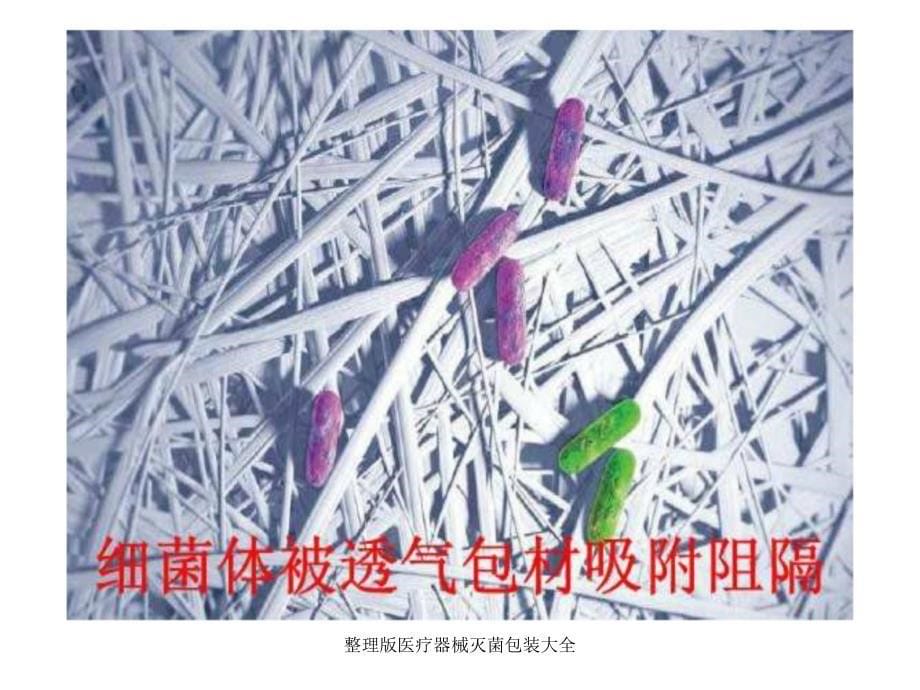 整理版医疗器械灭菌包装大全课件_第5页