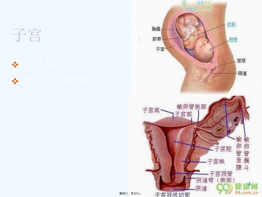 产后康复基础知识4_第4页