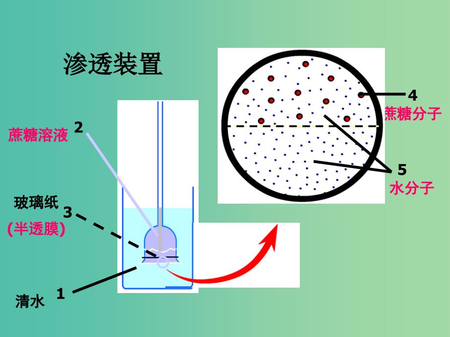 高中生物第四章细胞的物质输入和输出4.1物质跨膜运输的实例课件2新人教版.ppt_第3页