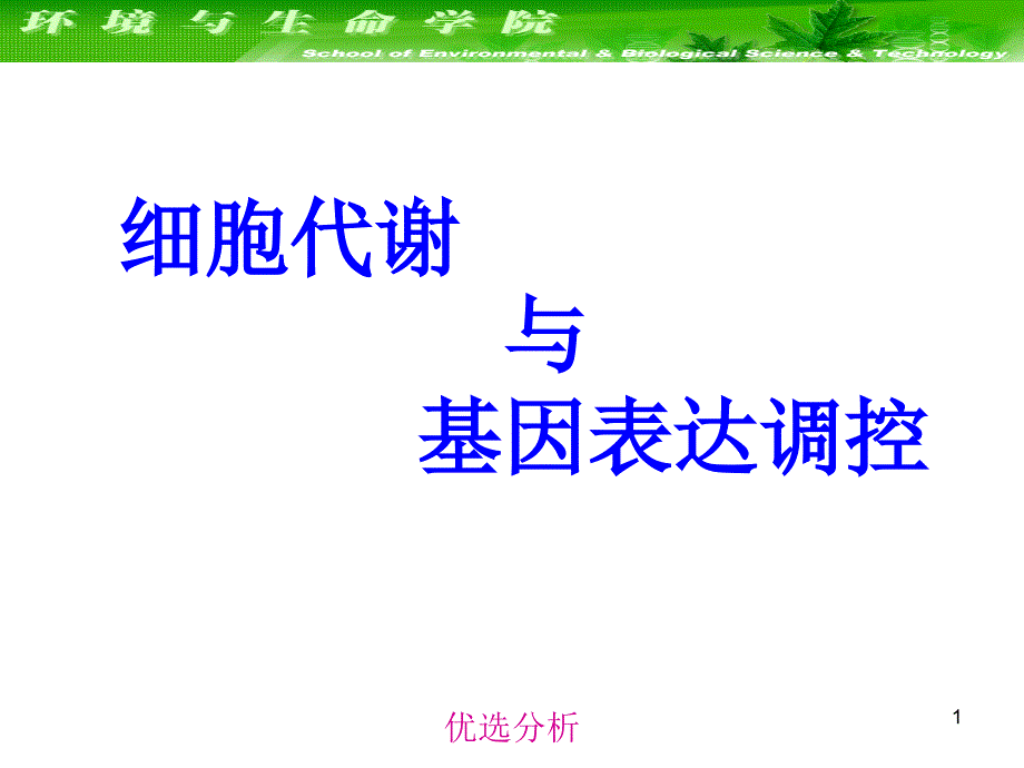 大连理工大学生物化学课件--细胞代谢与基因表达调控（调研知识）_第1页