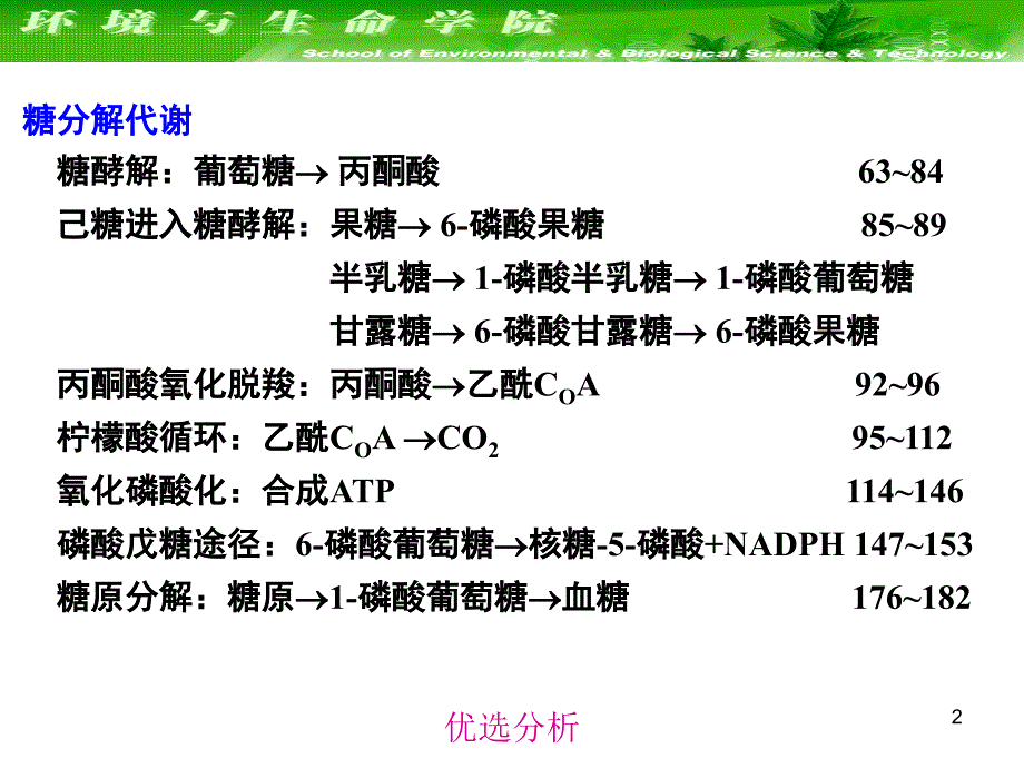 大连理工大学生物化学课件--细胞代谢与基因表达调控（调研知识）_第2页