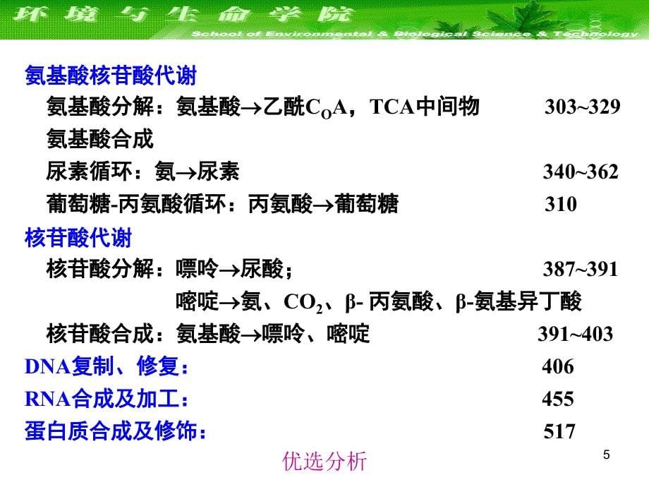 大连理工大学生物化学课件--细胞代谢与基因表达调控（调研知识）_第5页