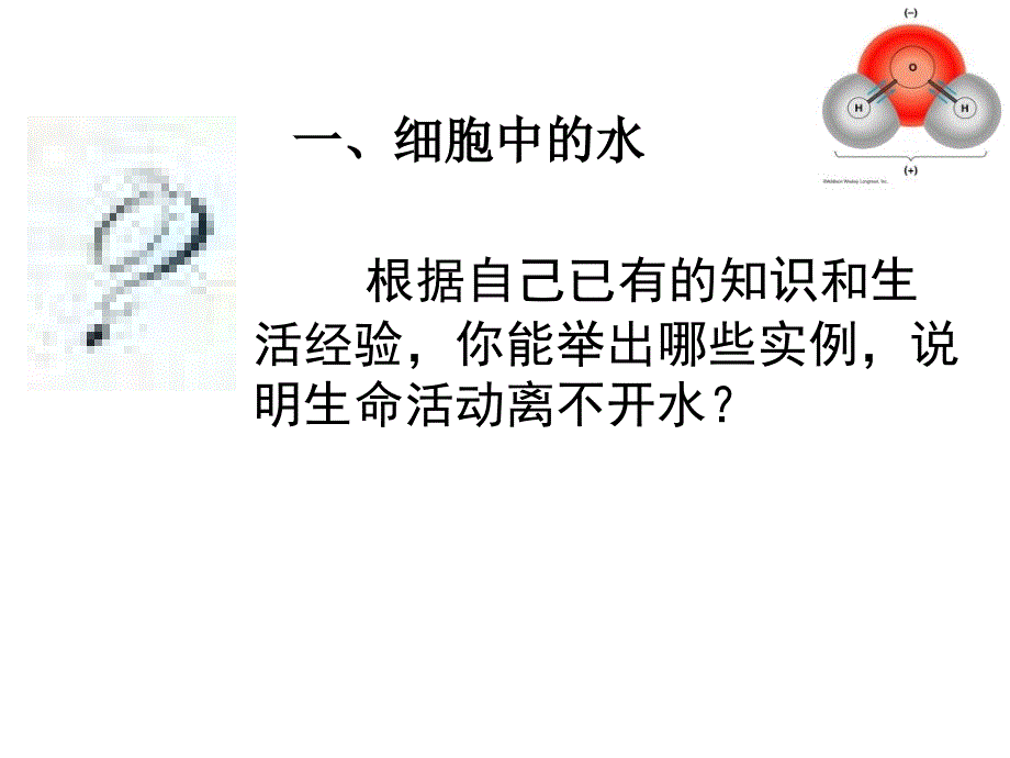 高一细胞中的无机盐_第2页