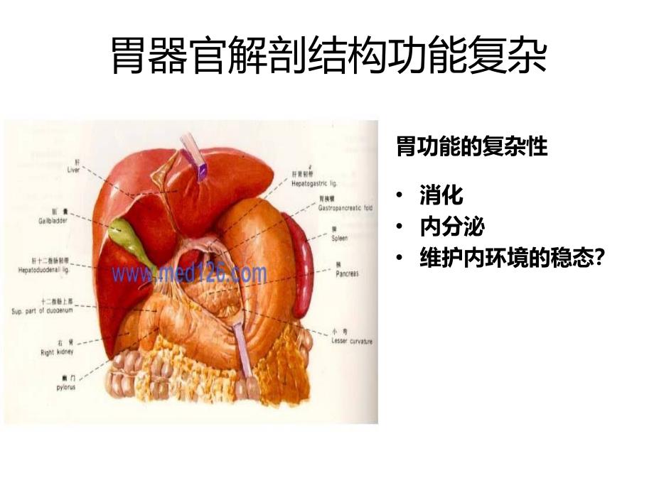 沈琳胃癌综合治疗沈琳2019.ppt_第2页