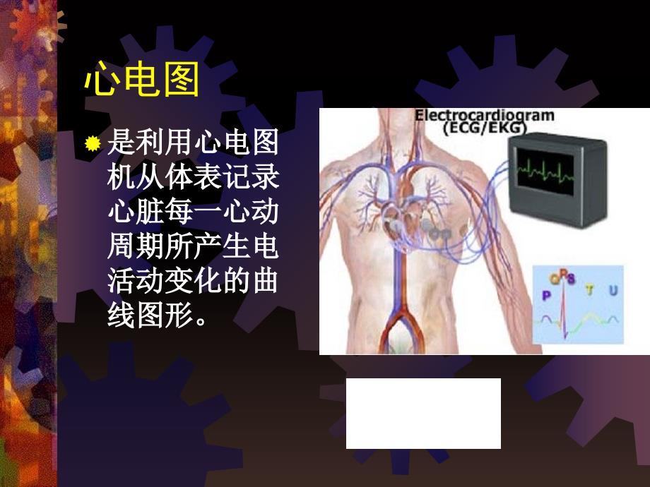 心电图的基本知识PPT课件_第3页