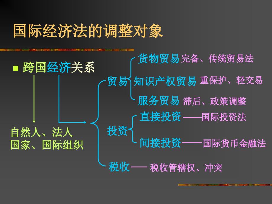 《国际经济法概论》全套课件（完整版）_第4页