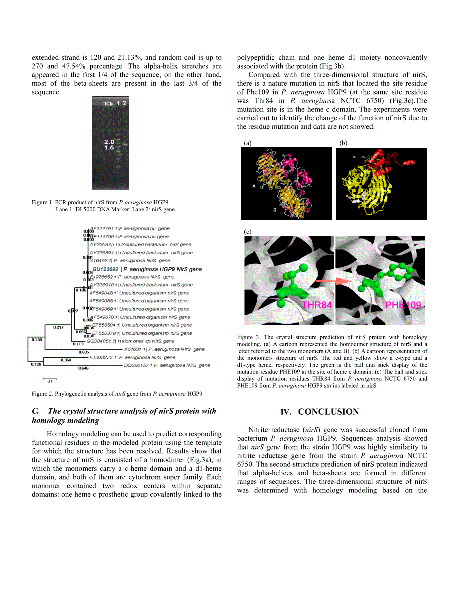 外文翻译--Bioinformatics Analysis of Nitrite Reducate from Pseudomonas aeruginosa HGP9 and the Structure Prediction with Homology Modeling_第3页