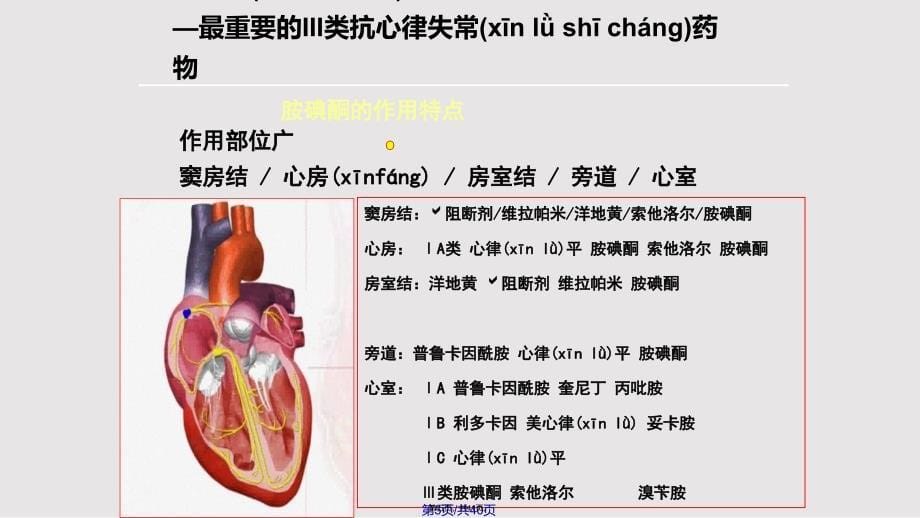 iii类抗心律失常药物胺碘酮的临床应用实用教案_第5页