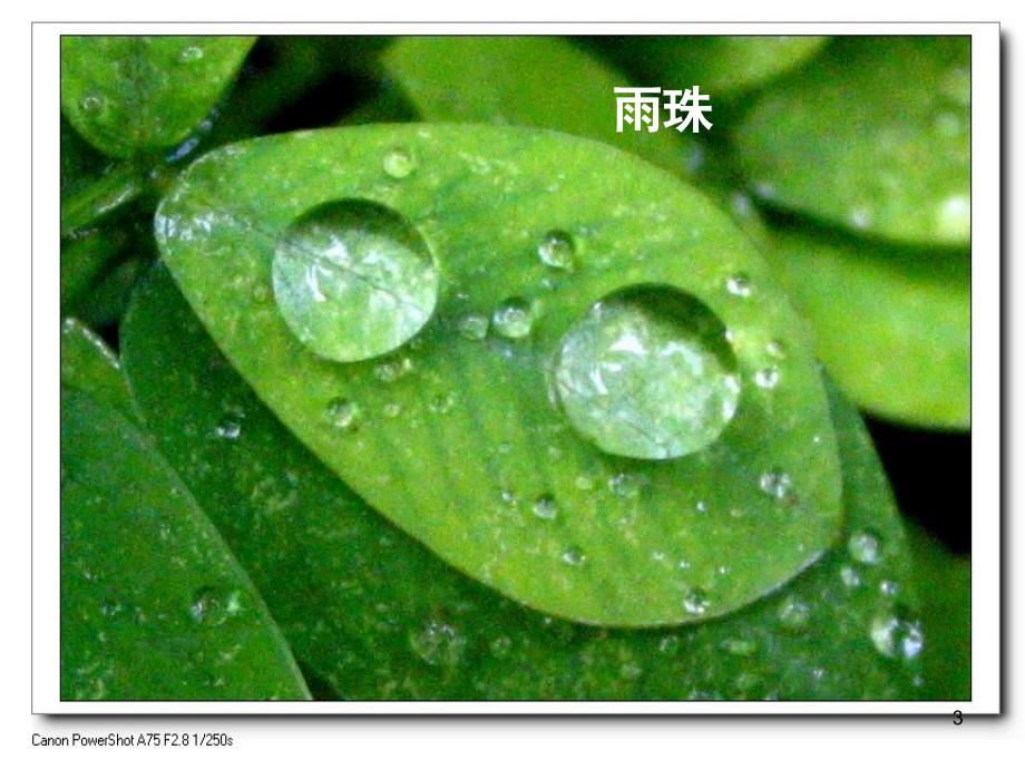 人教版语文六年级上册山雨课堂PPT_第3页