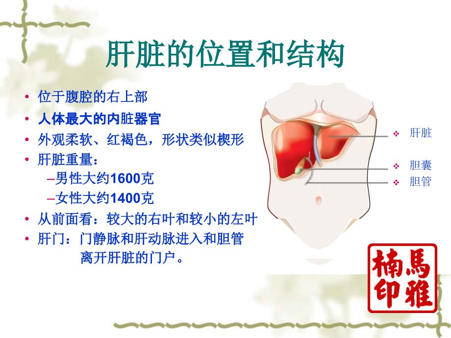 常见肝病用药指导 PPT课件.ppt_第3页