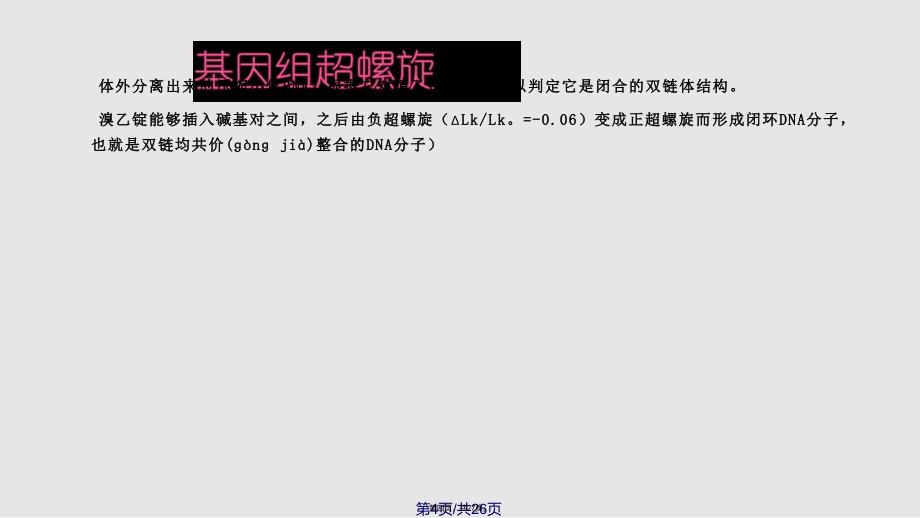 DD染色体结构实用教案_第4页