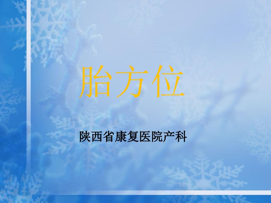 胎方位PPT课件_第1页