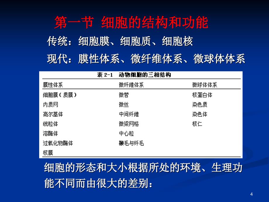 人体解剖生理学第一章细胞及基本组织参考PPT_第4页