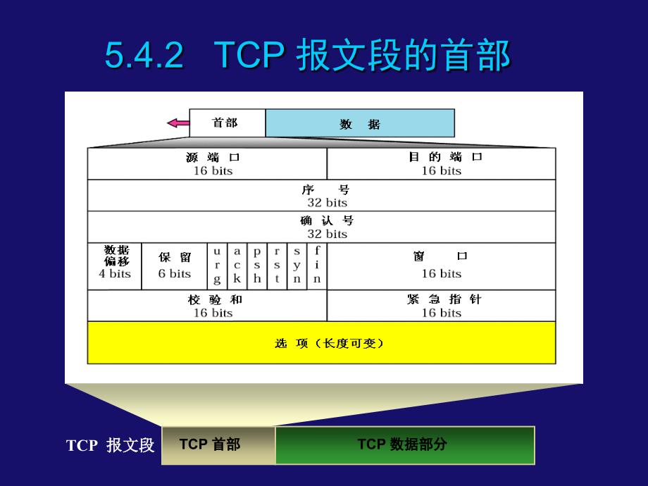 _54 _________传输控制协议TCP_第3页