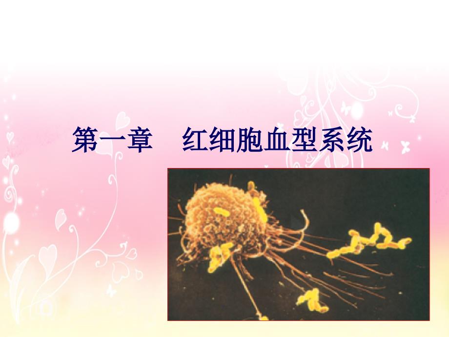 红细胞血型免疫学基础_第1页