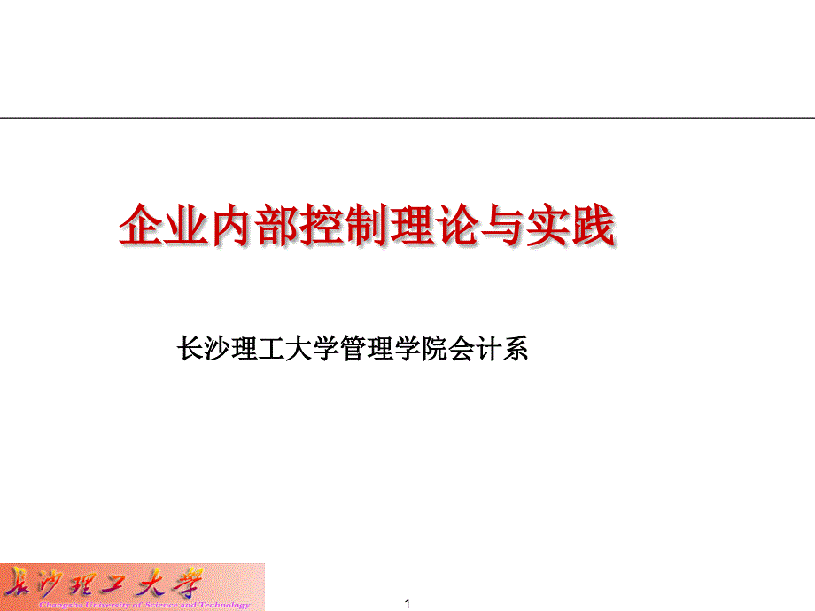 企业内部控制理论与实践_第1页