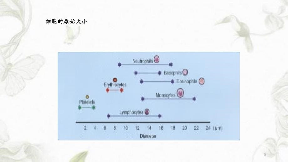 血细胞直方图解析干货分享_第5页