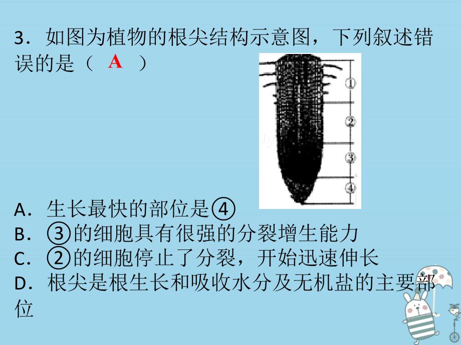 七年级生物上册 第三单元 第三章 第四章 绿色植物是生物圈中有机物的制造者 （新版）新人教版_第3页